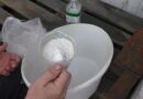 Кальциевая подкормка сливы и вишни от опадения завязи
